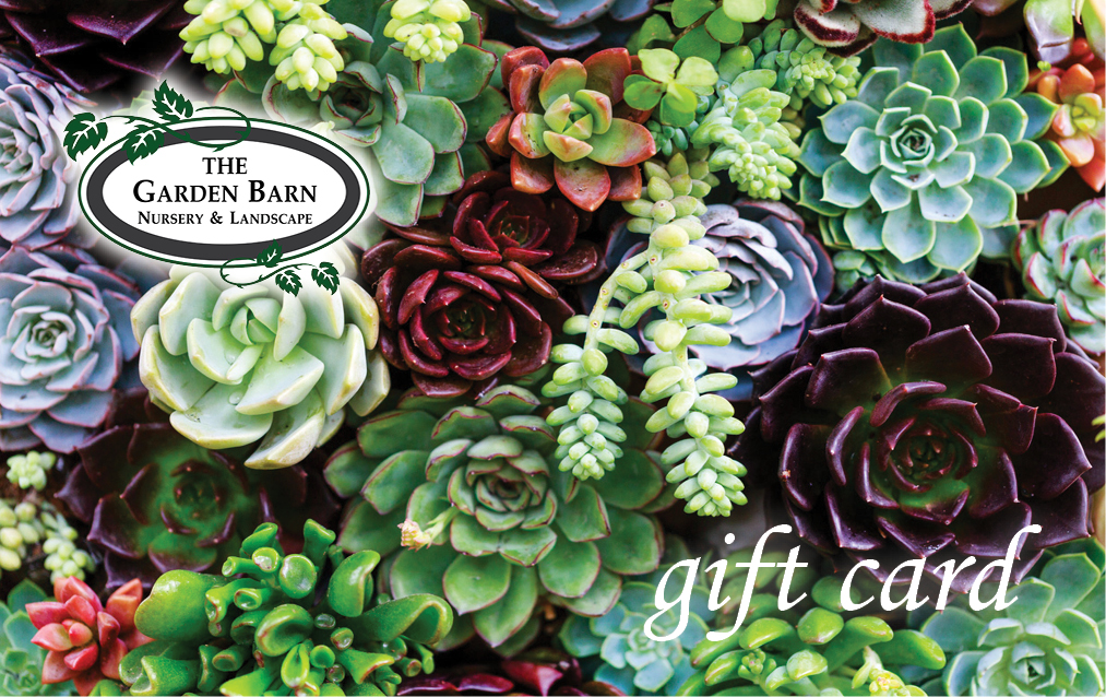 Gift Card Garden Barn
